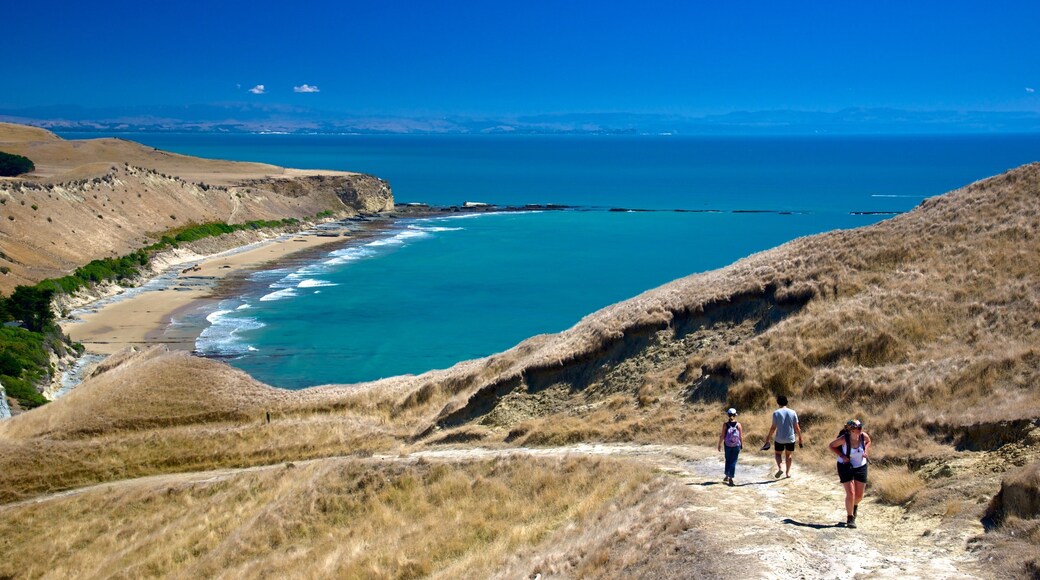 Cape Kidnappers toont een meer of poel en hiken of wandelen