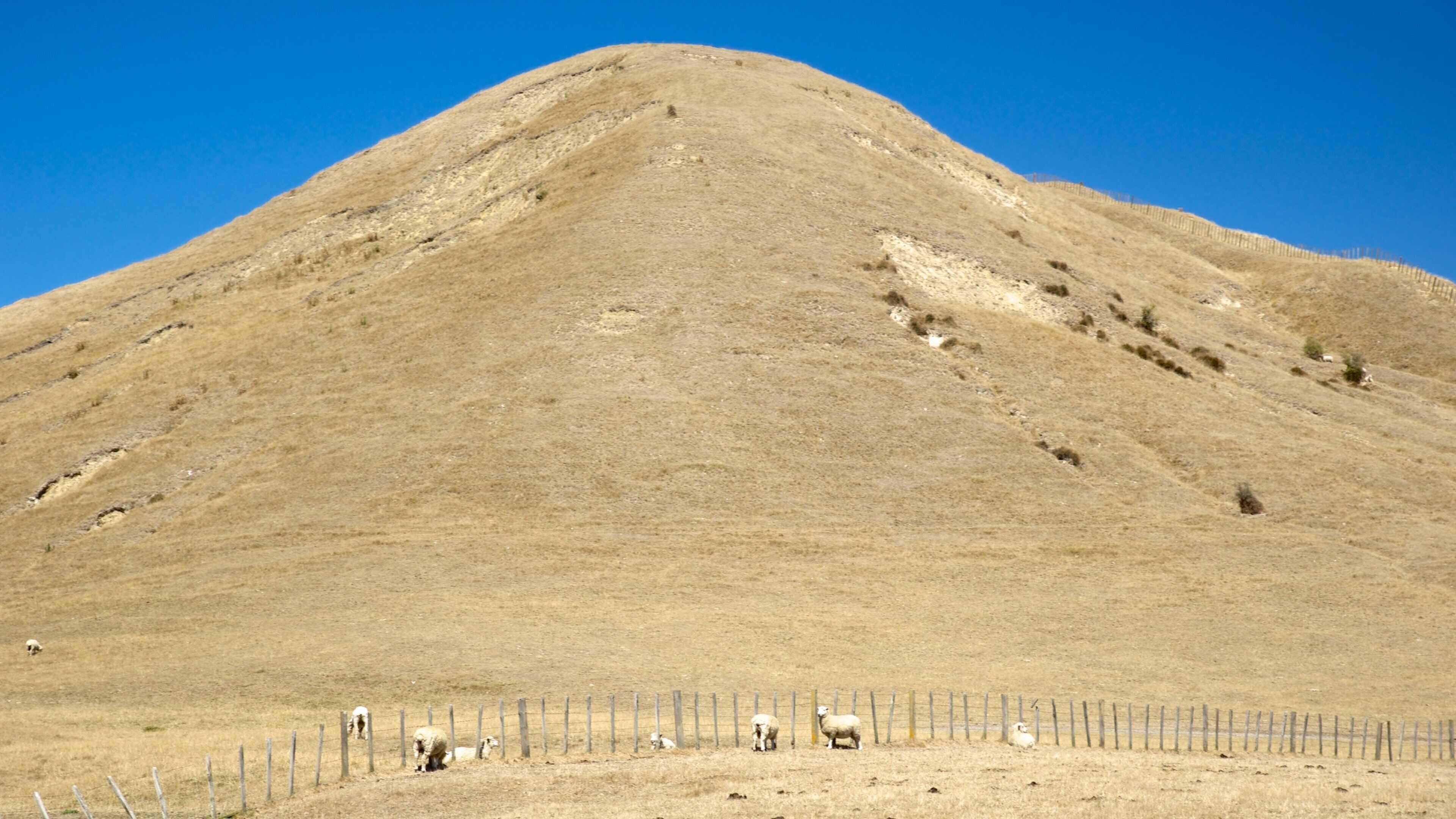 Cape Kidnappers showing tranquil scenes