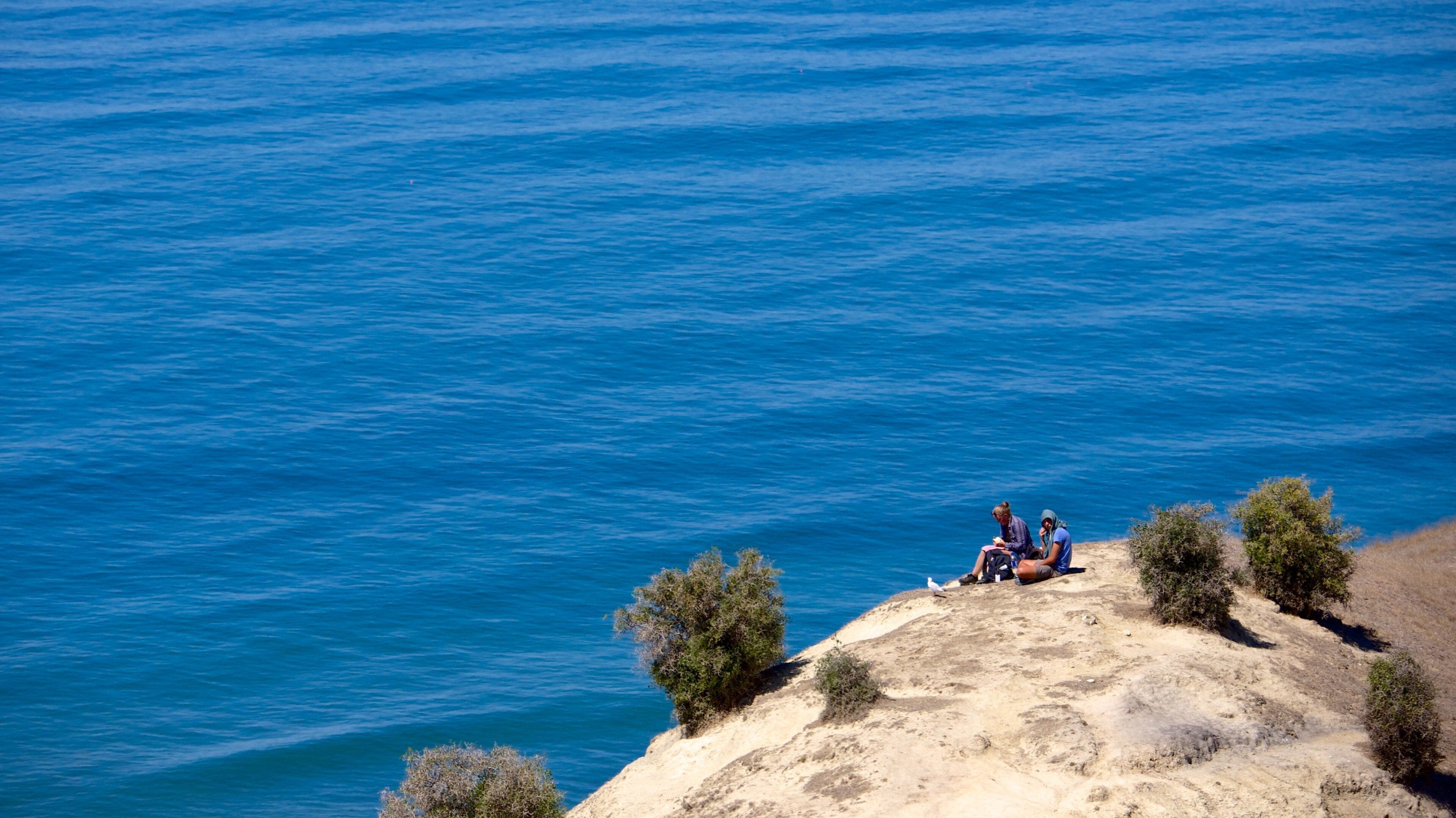 <h2>Los lugares mejor calificados para hospedarse cerca de la playa en Napier</h2> 