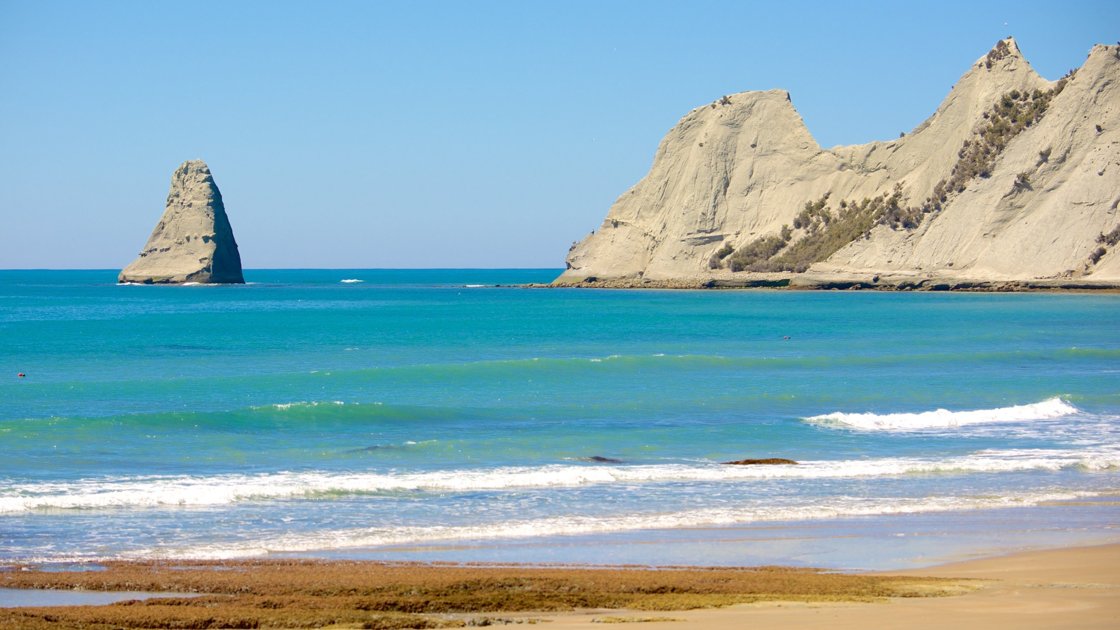 Cape Kidnappers mettant en vedette côte rocheuse