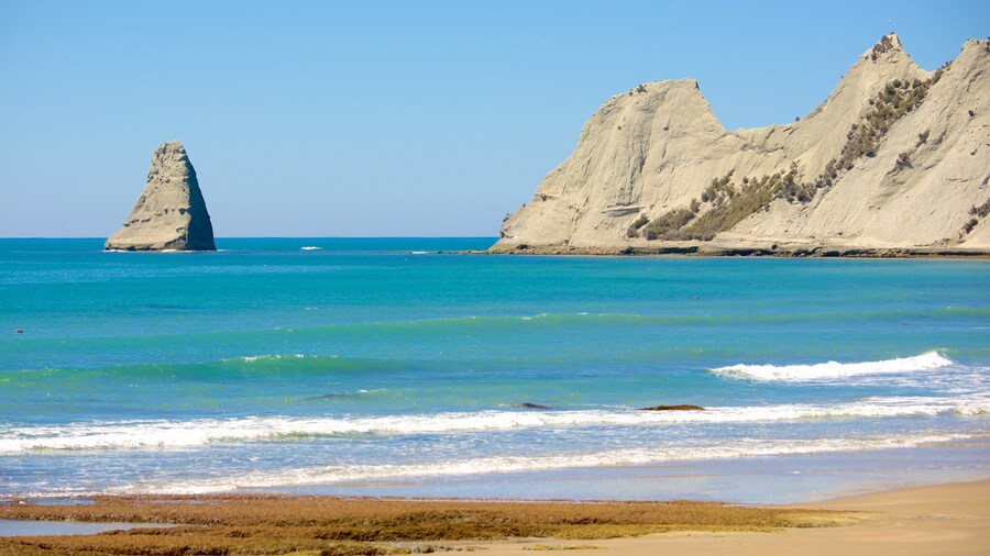Cape Kidnappers showing rugged coastline