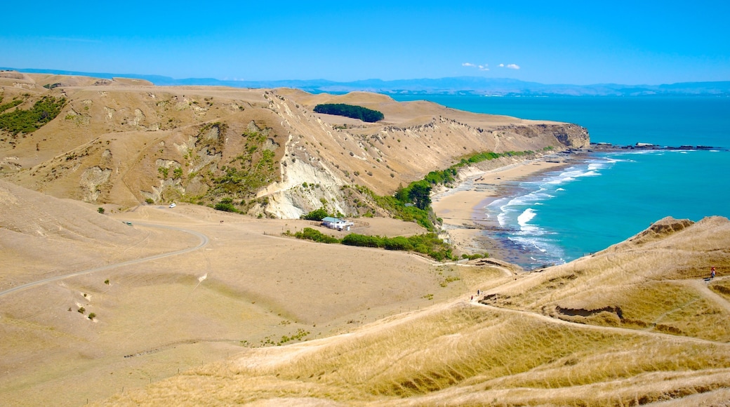 Cape Kidnappers showing landscape views, general coastal views and tranquil scenes