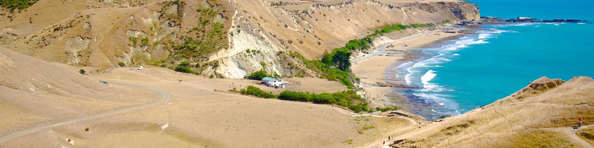 Cape Kidnappers showing general coastal views, landscape views and tranquil scenes