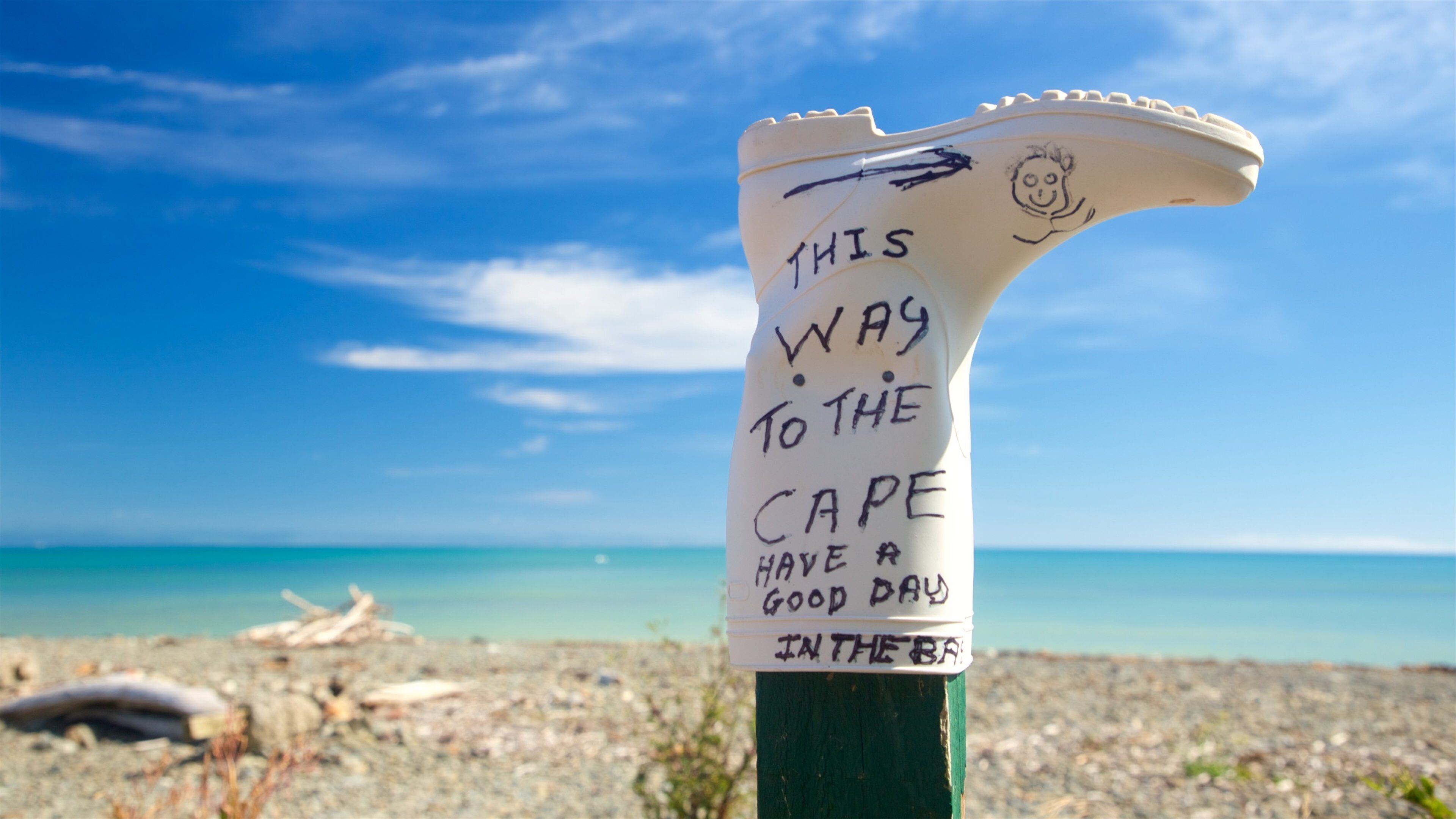 Cape Kidnappers showing general coastal views and signage