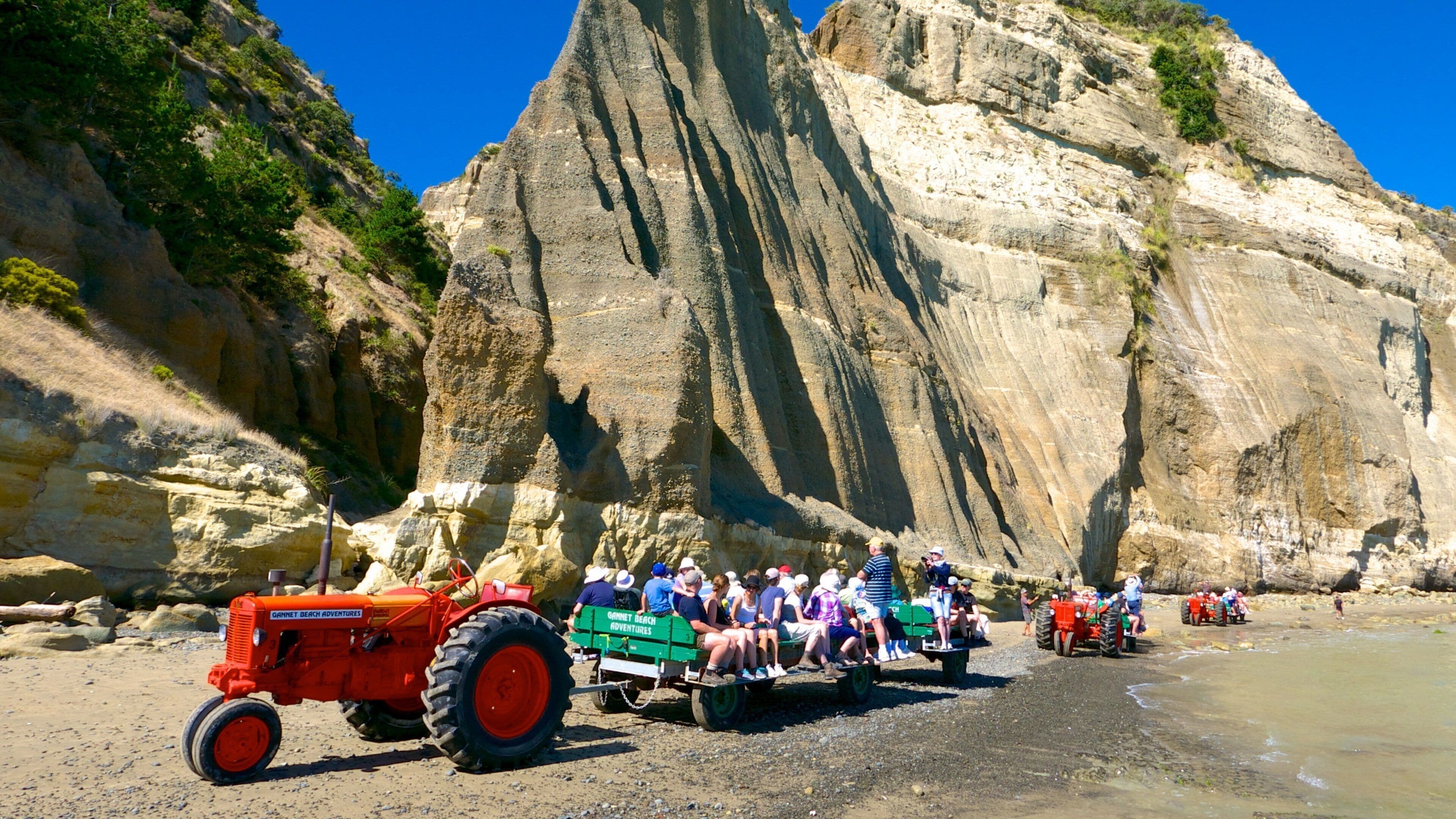 Cape Kidnappers showing touring and general coastal views