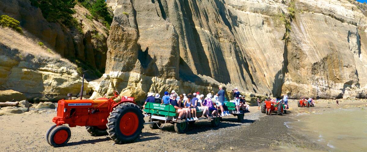 Cape Kidnappers showing touring and general coastal views