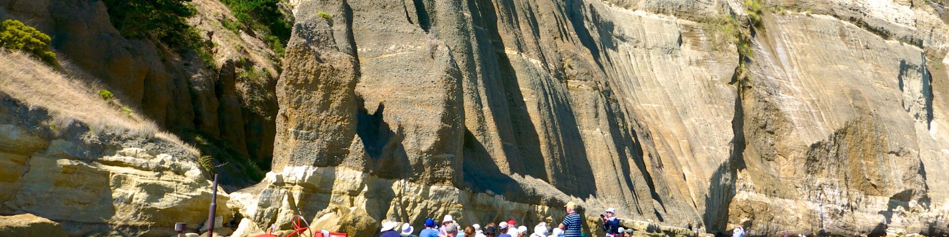Cape Kidnappers mostrando vistas de una costa y visitas