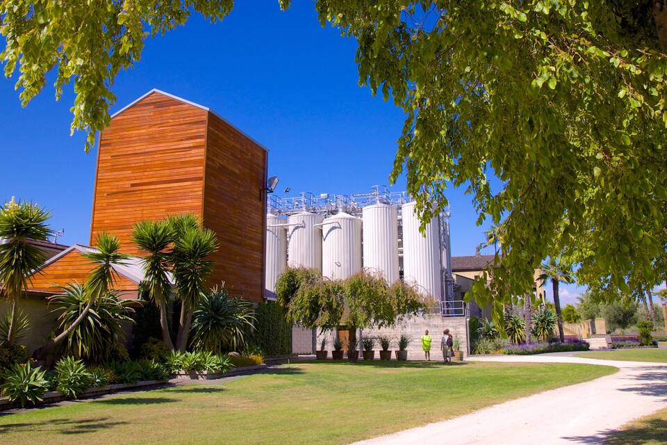 A modern building with a wooden facade, surrounded by a well-maintained garden with palm trees and a clear blue sky.