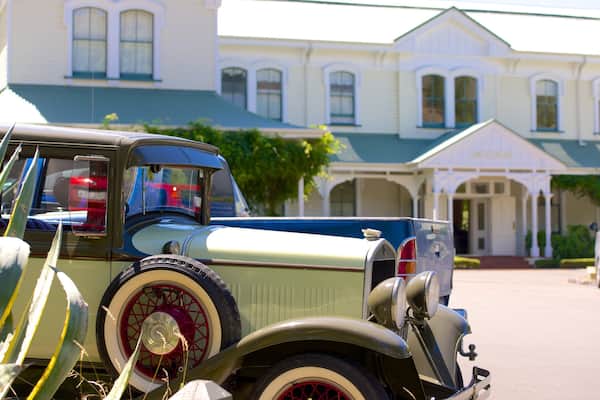 Mission Estate-Weingut