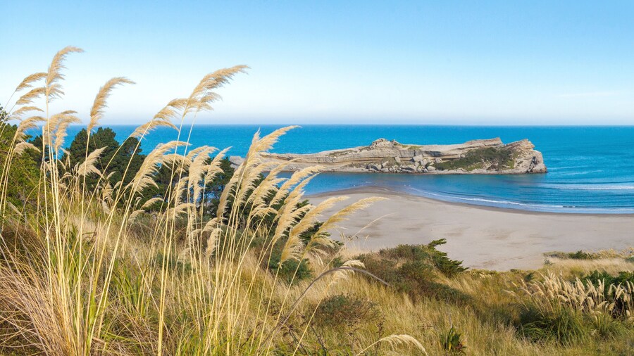 Plage de Castlepoint