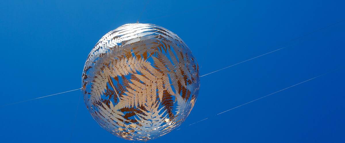 City Gallery Wellington showing art and outdoor art