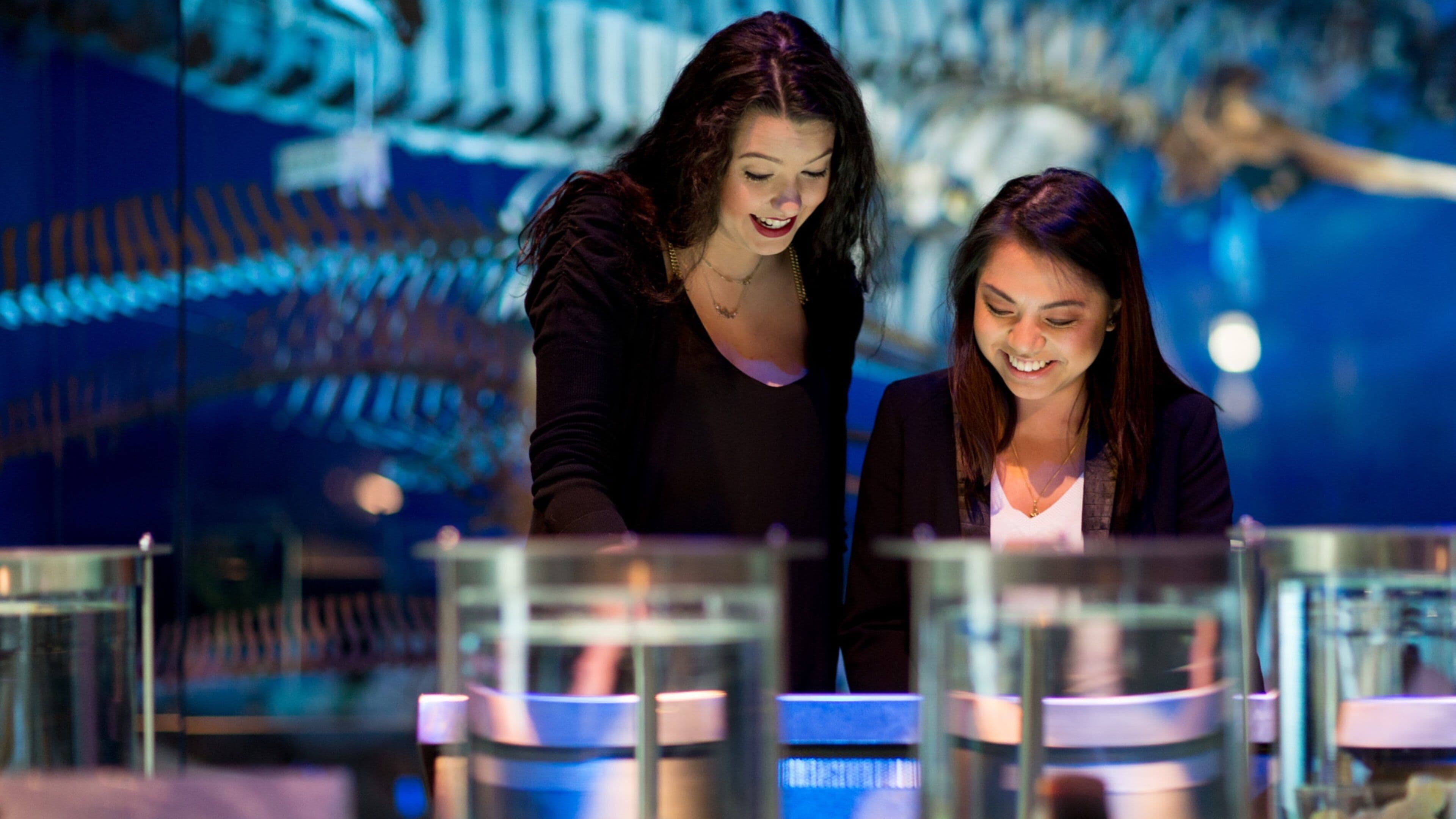 Te Papa which includes interior views as well as a couple