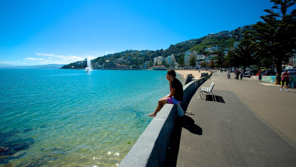 Oriental Bay Beach which includes a coastal town and general coastal views as well as an individual male