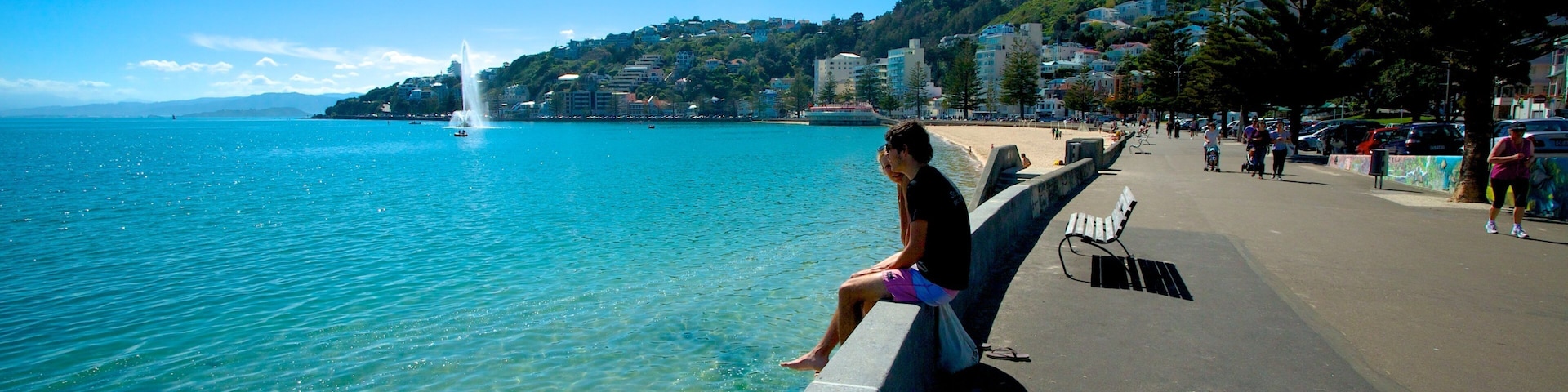 Oriental Bay Beach mostrando uma cidade litorânea e paisagens litorâneas assim como um homem sozinho