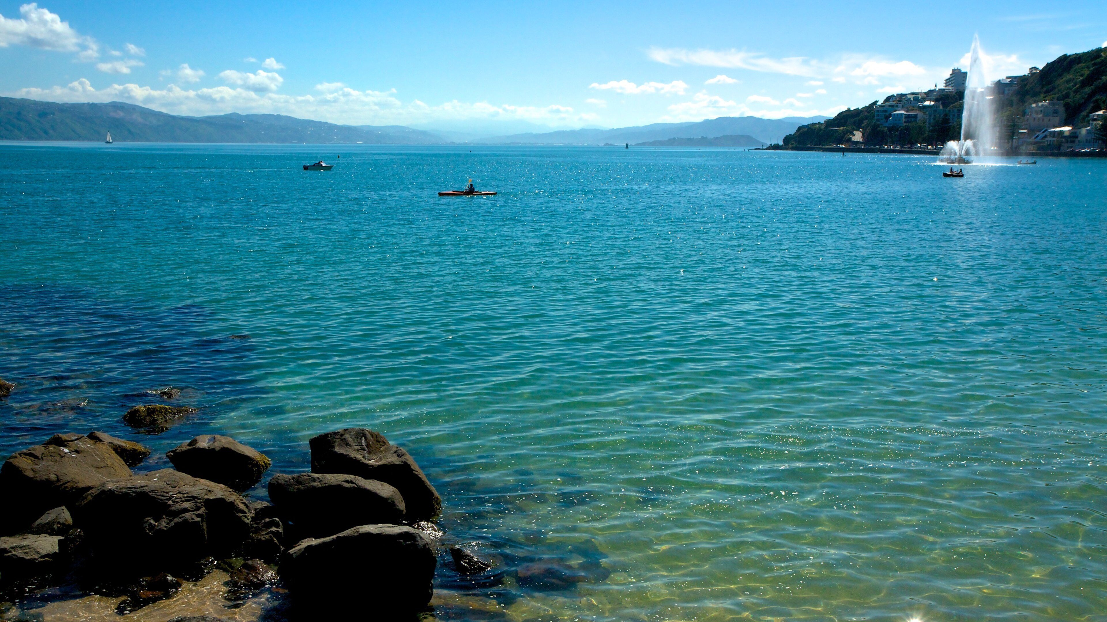 Oriental Bay Beach showing rugged coastline and kayaking or canoeing