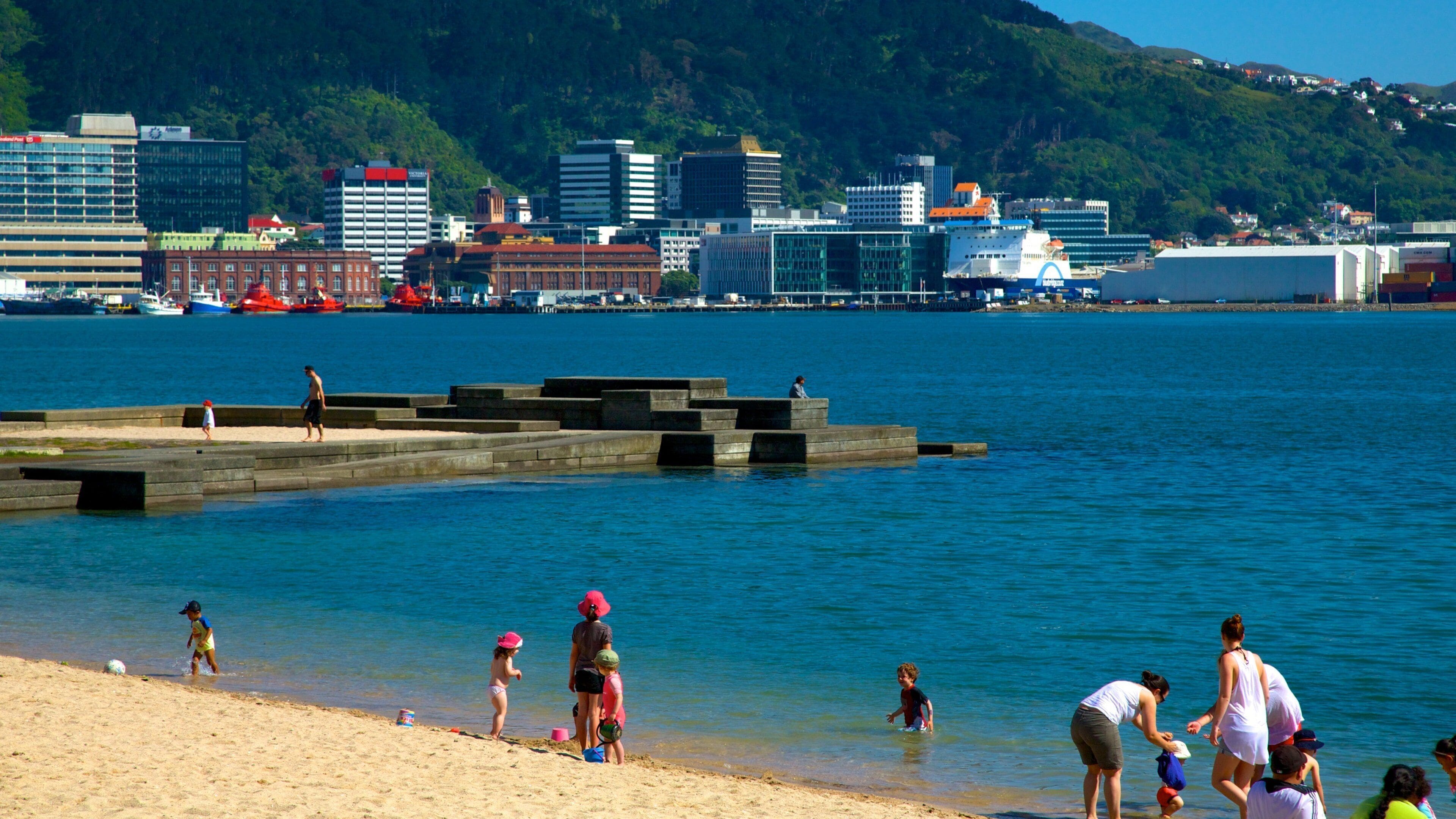 Oriental Bay Beach which includes a beach, swimming and general coastal views
