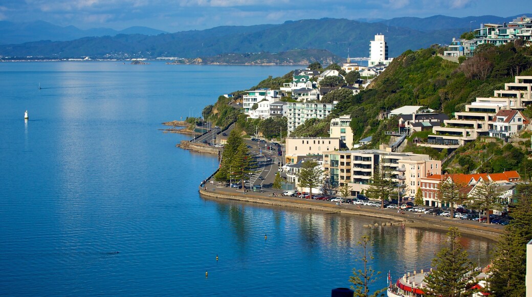 Oriental Bay Beach featuring a coastal town and a bay or harbor