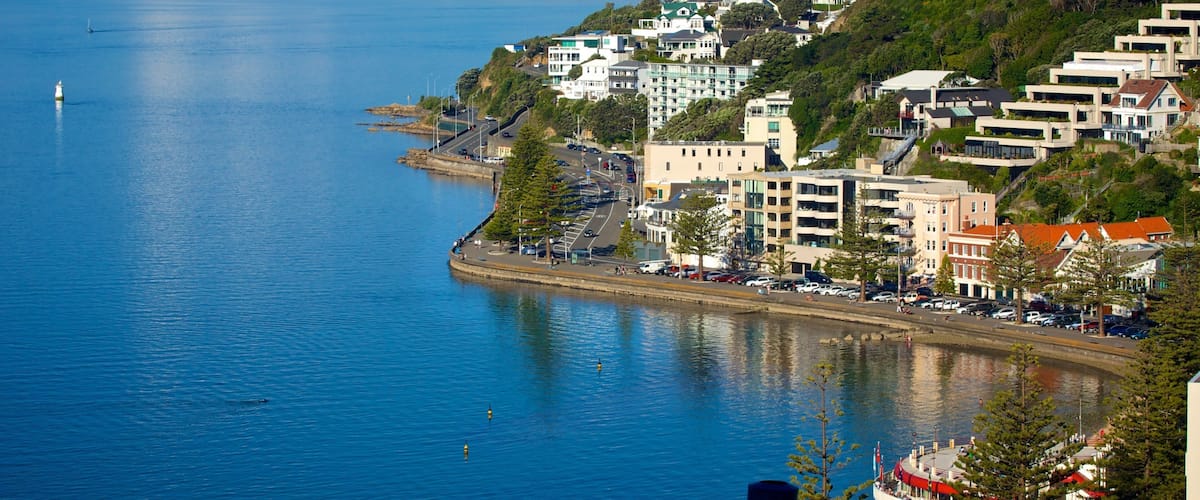 Oriental Bay Beach featuring a coastal town and a bay or harbor