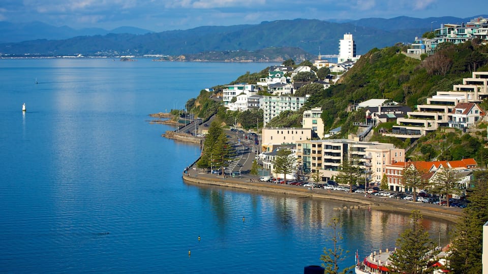 Oriental Bay Beach featuring a coastal town and a bay or harbor