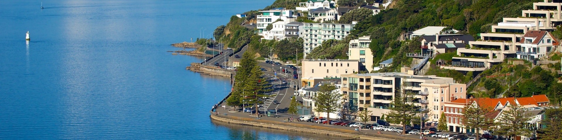 Oriental Bay Beach featuring a coastal town and a bay or harbor