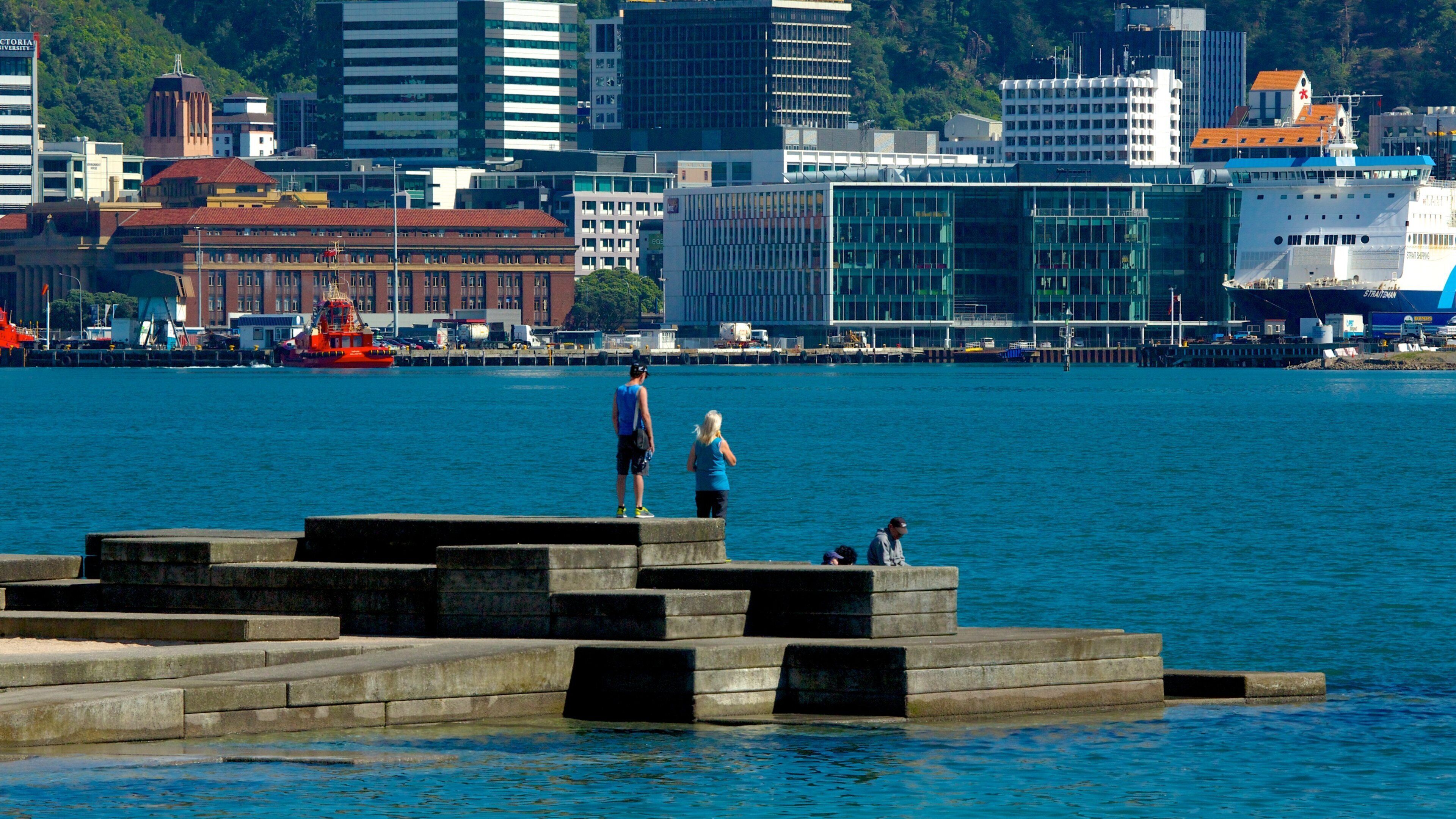 Oriental Bay Beach showing a coastal town and general coastal views