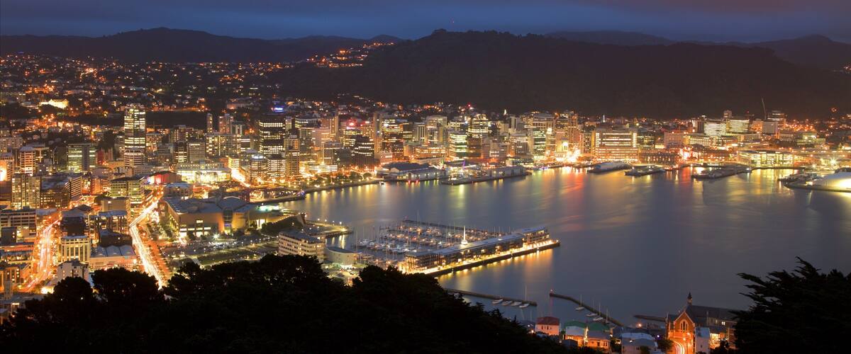 Mount Victoria Lookout which includes a city, a bay or harbor and night scenes