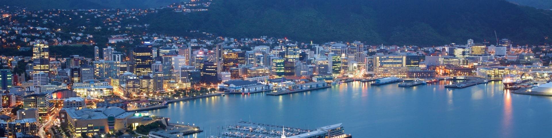 Mount Victoria Lookout mostrando una ciudad, un puerto deportivo y escenas nocturnas