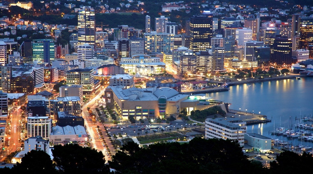 마운트빅토리아 전망대 을 보여주는 항구 또는 항만, 마리나 과 야경