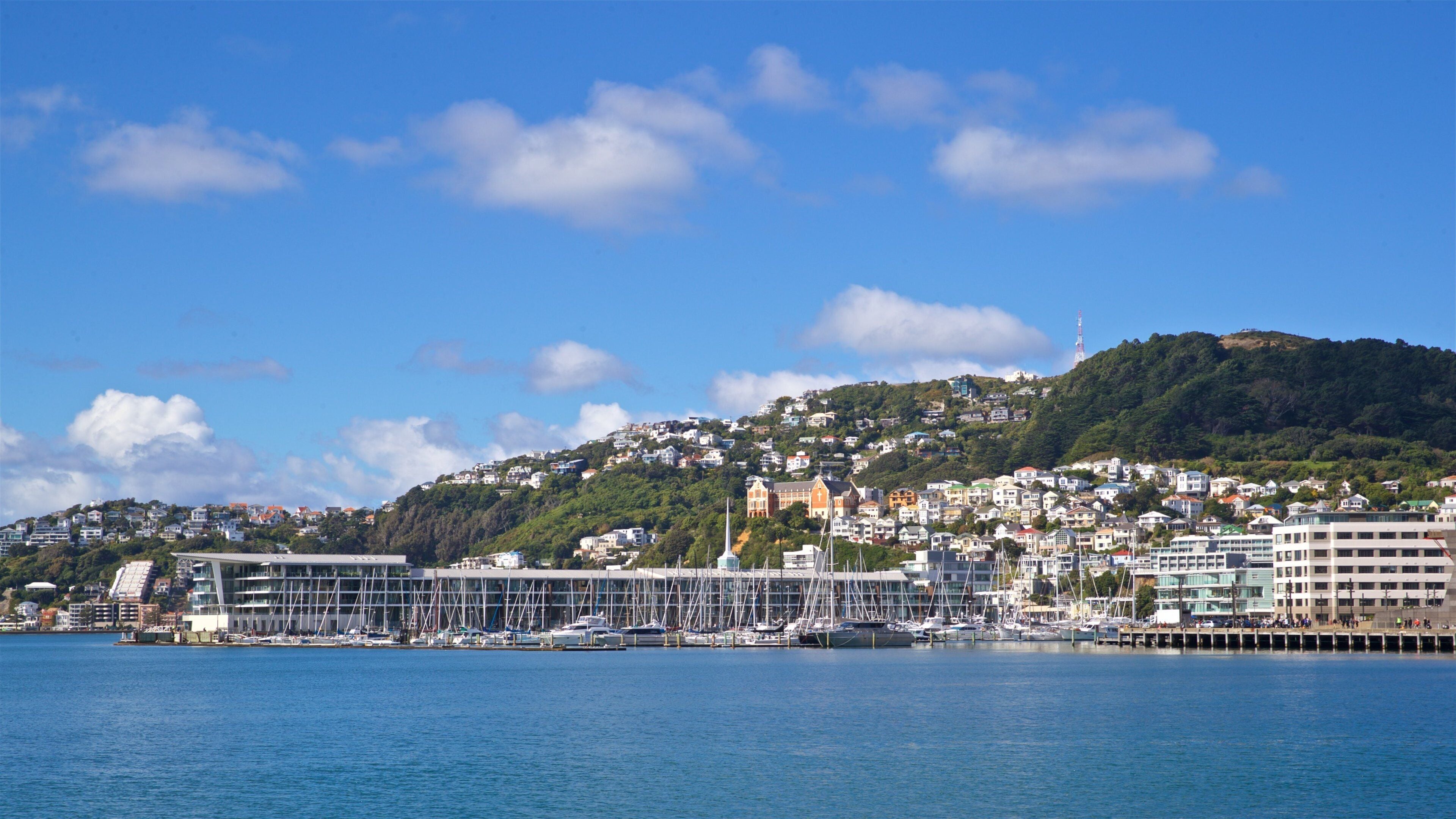 Frank Kitts Park which includes a bay or harbor and a coastal town
