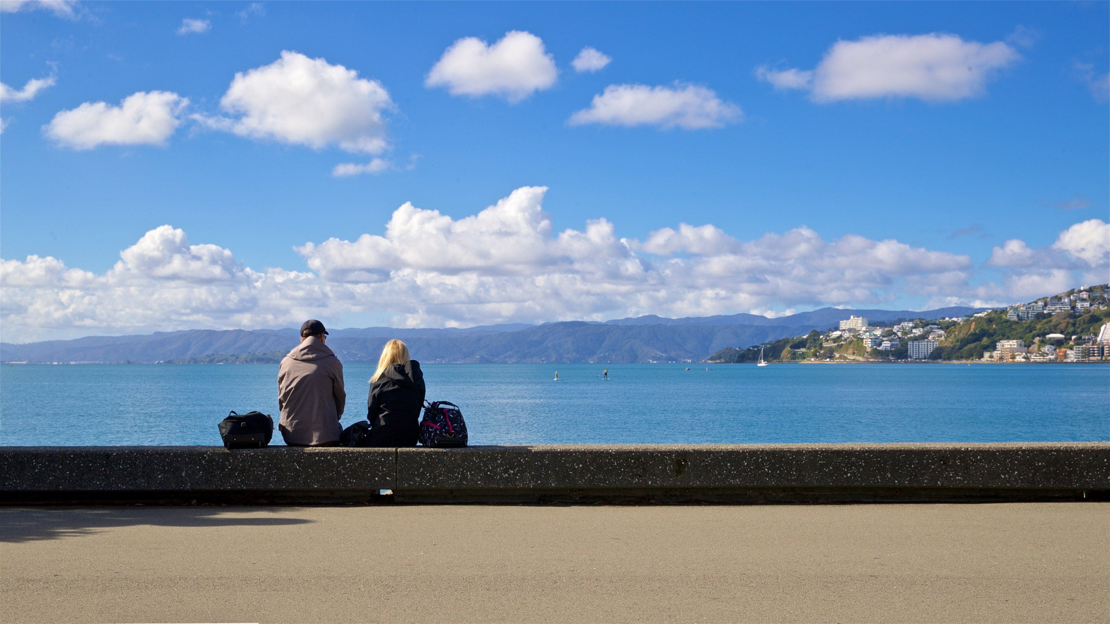 Frank Kitts Park featuring general coastal views as well as a couple