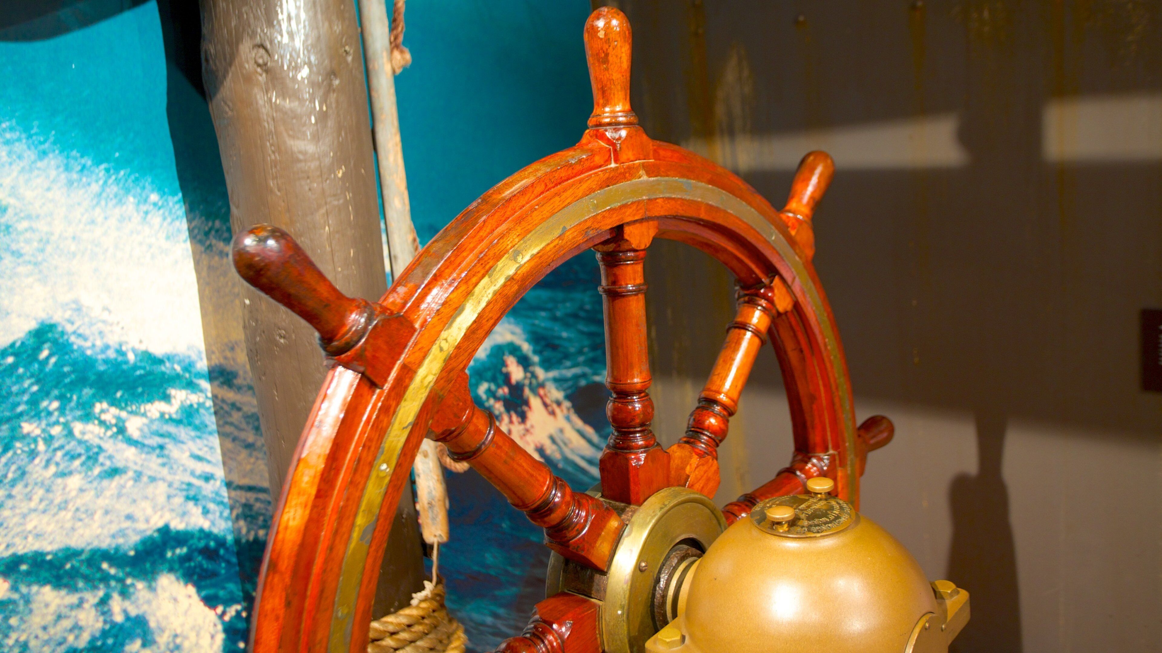 Museum of Wellington City & Sea montrant vues intérieures