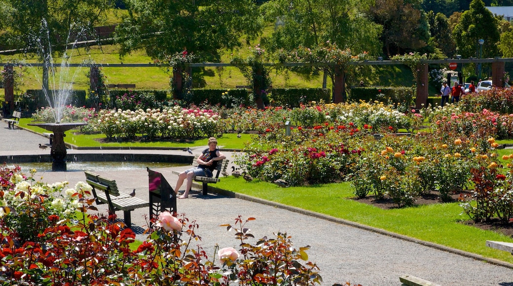 Wellington Botanic Garden which includes a garden, a fountain and flowers