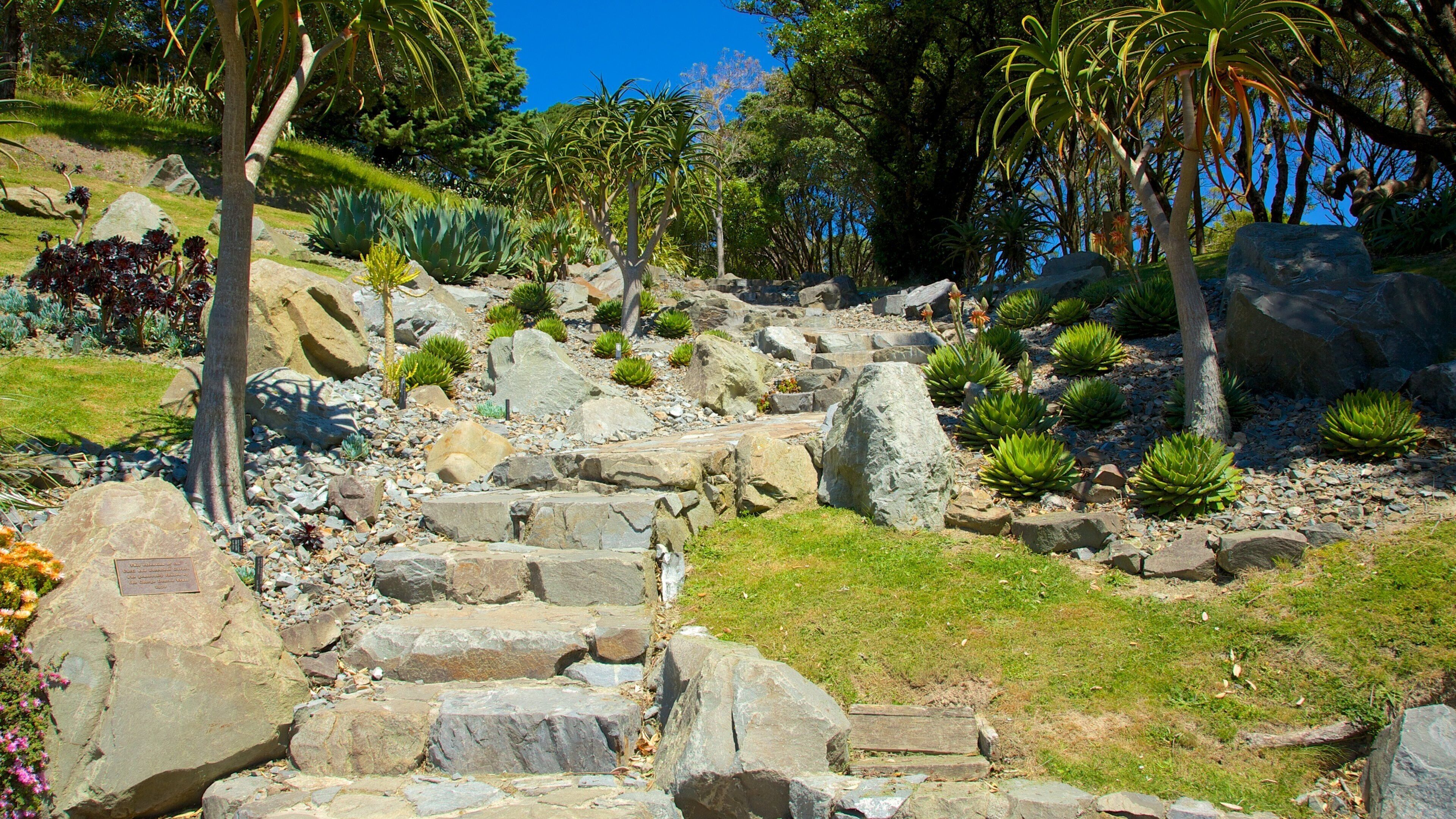 Wellington Botanic Garden featuring a park
