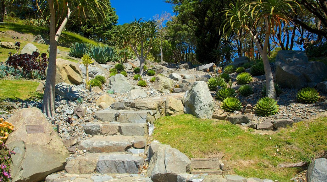 Wellington Botanic Garden featuring a park