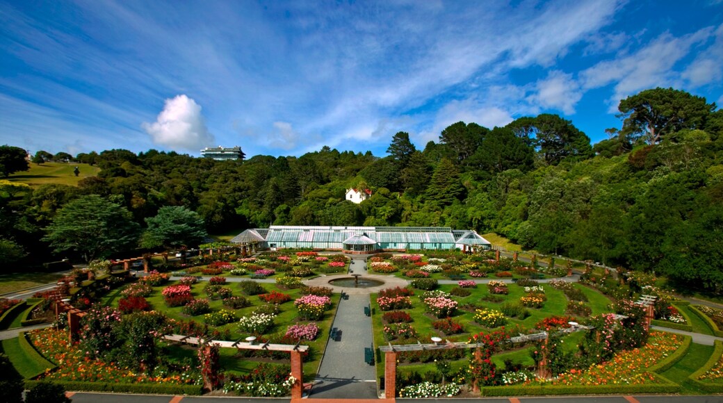 Wellington Botanic Garden featuring forests, flowers and a garden