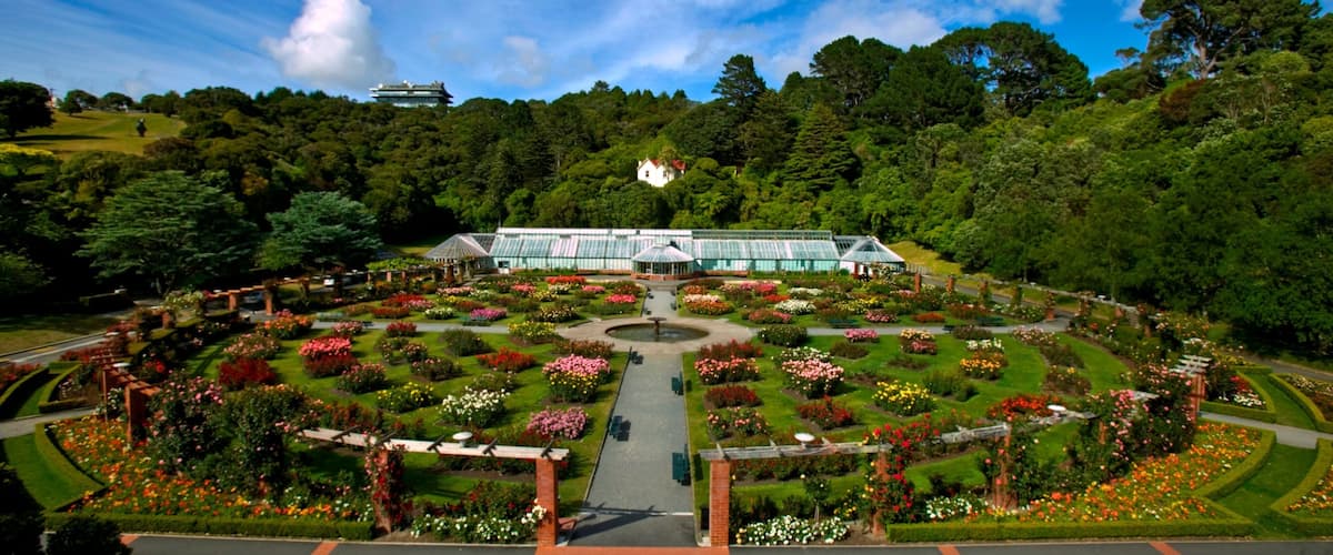 Wellington Botanic Garden featuring forests, flowers and a garden