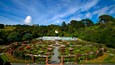 Wellington Botanic Garden which includes flowers, forests and a park