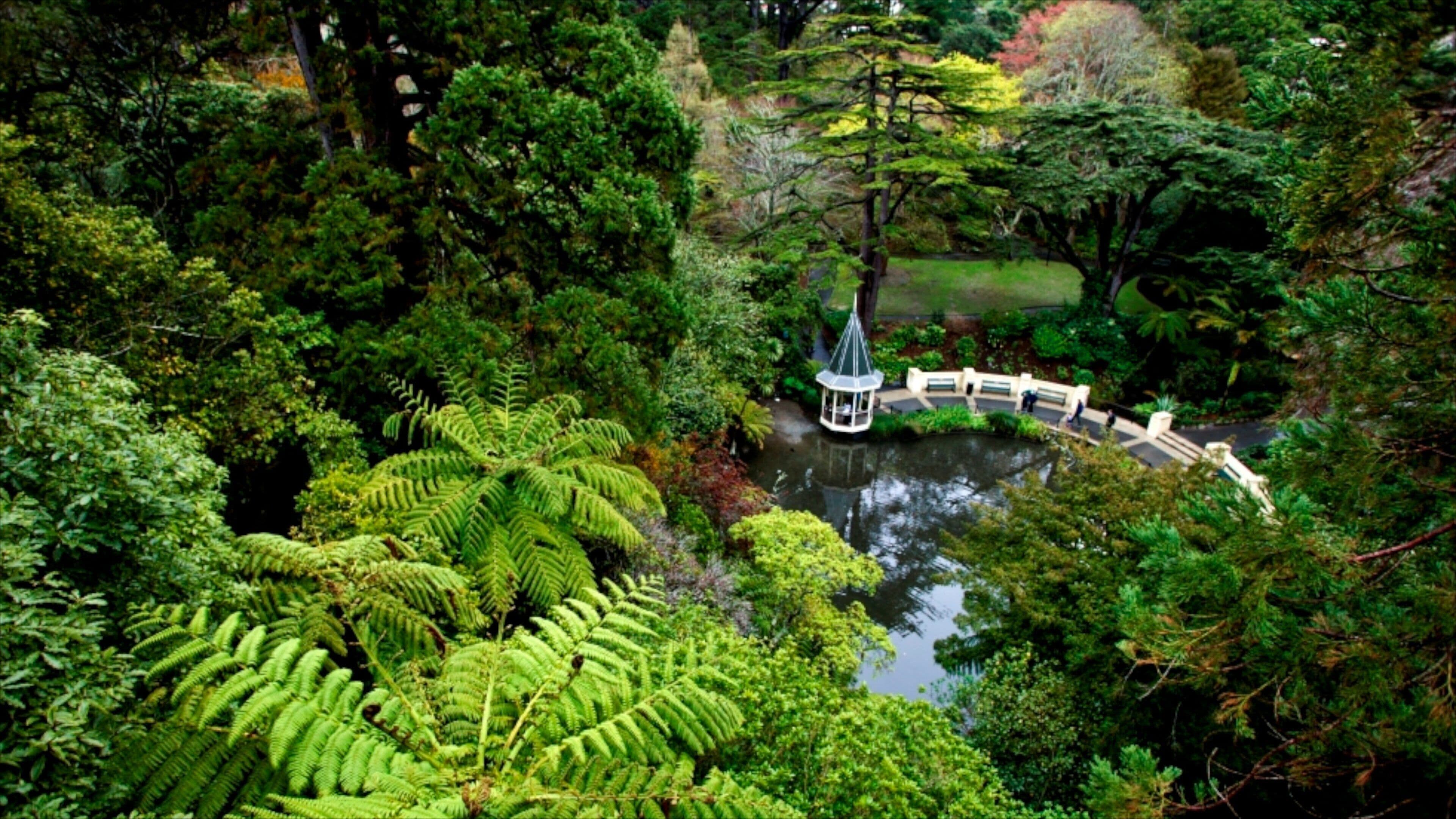 Un jardin luxuriant avec un étang, un kiosque et une grande variété d’arbres.