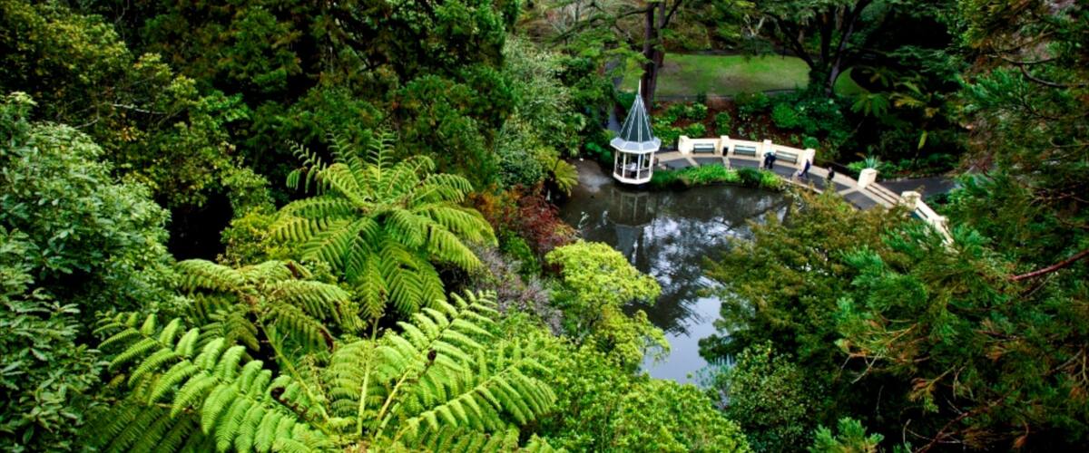 Botanic Gardens featuring a garden and tropical scenes
