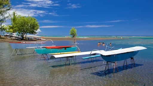 Black Sand Beach featuring general coastal views and swimming as well as a small group of people