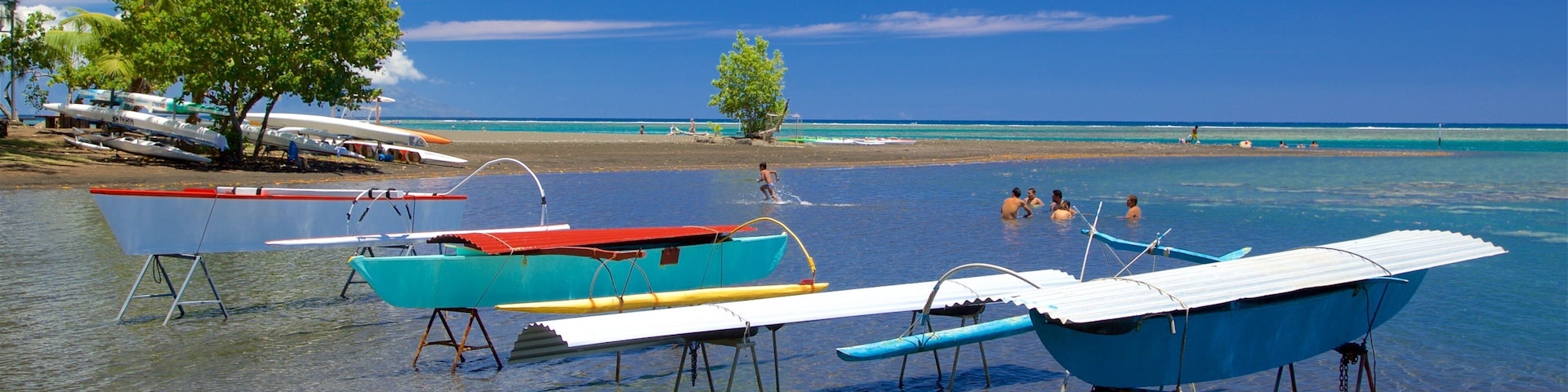 黑沙灘 其中包括 游泳 和 綜覽海岸風景 以及 一小群人