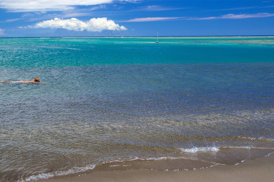 A swimmer in the ocean with clear turquoise water and a distant mountain range.