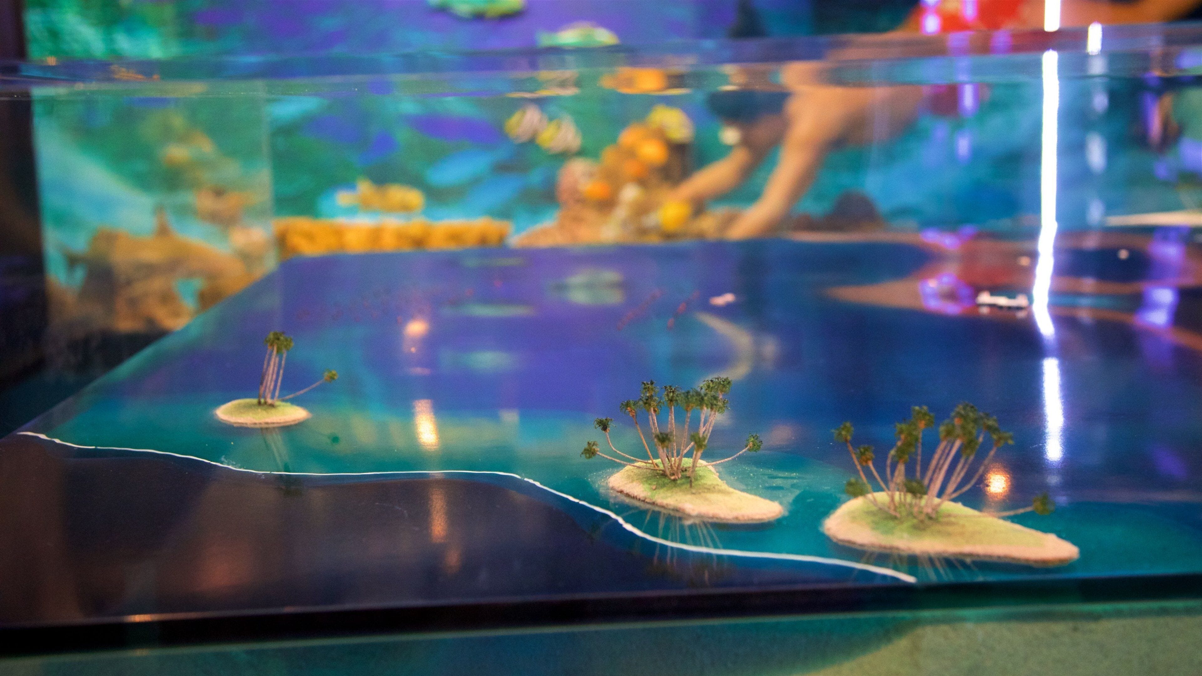 Black Pearl Museum which includes interior views