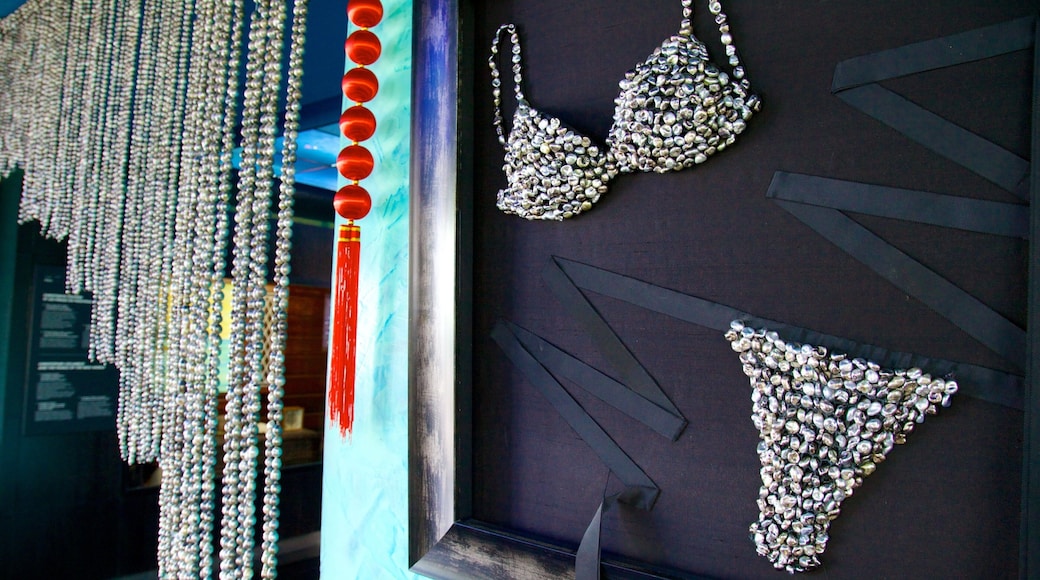 Black Pearl Museum which includes fashion and art