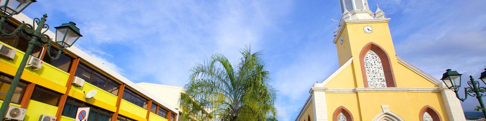 Cathedrale de L\'lmmaculée Conception que incluye aspectos religiosos y una iglesia o catedral