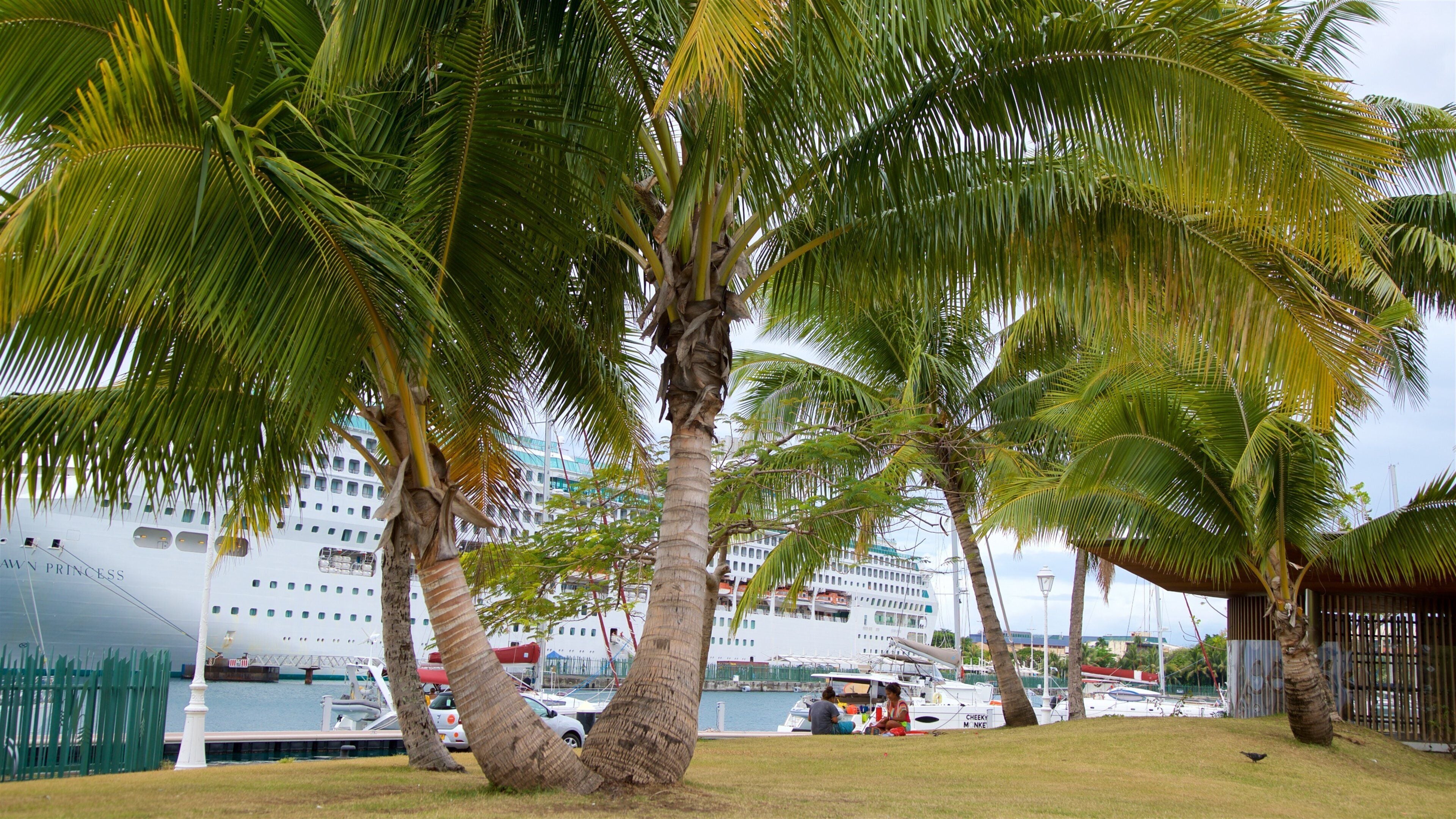 A marina with several boats, palm trees, and a cruise ship named "Awn Princess" in the background.