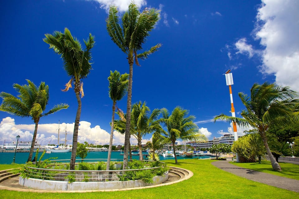 A coastal park with palm trees, a lighthouse, and a marina with boats.