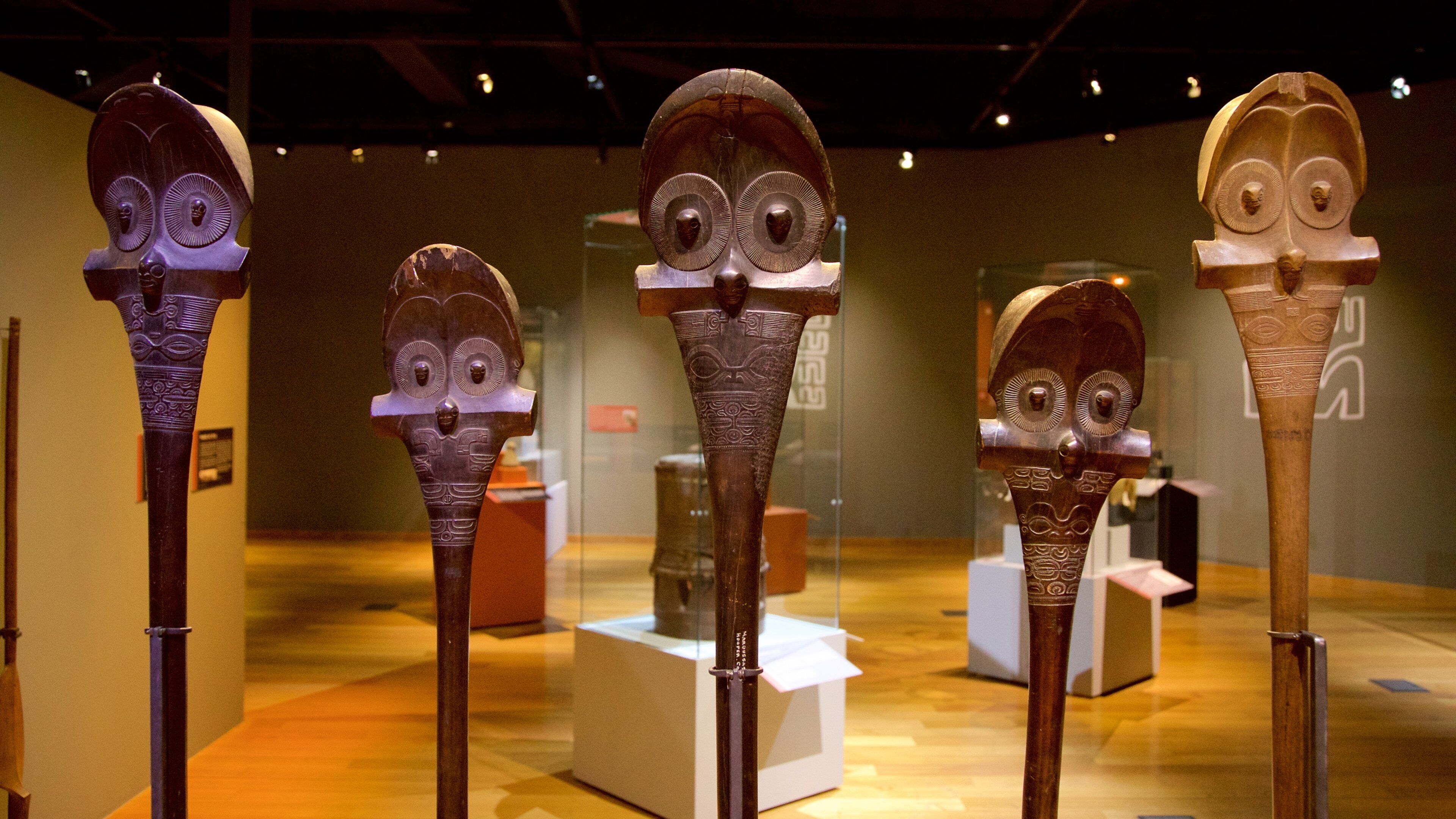 Museum of Tahiti bevat interieur en inheemse cultuur