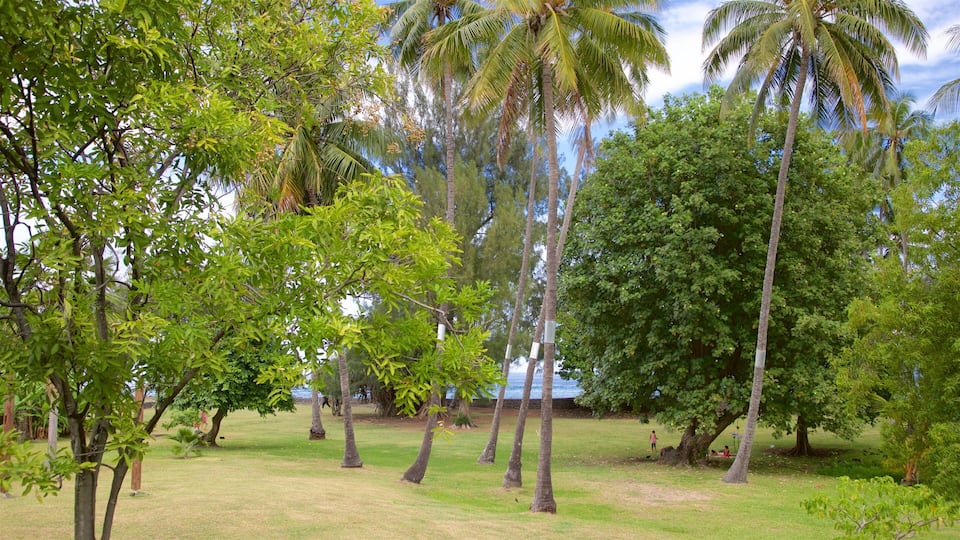 A tropical park with palm trees, a grassy field, and a body of water in the background.