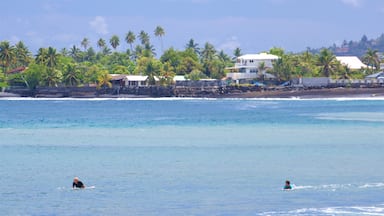 Tahiti museum fasiliteter samt kyst, svømming og tropisk landskap